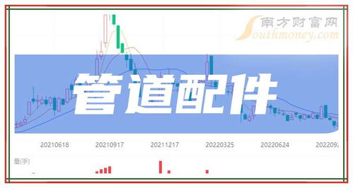2024年9月21日管道配件板块主要上市公司盘点 计算机软硬件技术开发与销售的新机遇